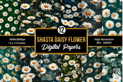 Shasta Daisy Flowers Seamless Patterns