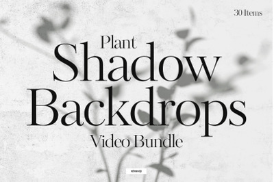 Plant Shadow Backdrops Video Bundle