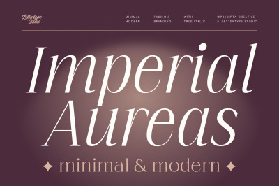 Imperial Aureas Minimal Modern Serif with Italic