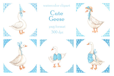 Cute geese watercolor clipart. Goose family.