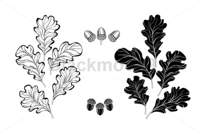 Monochrome oak leaves
