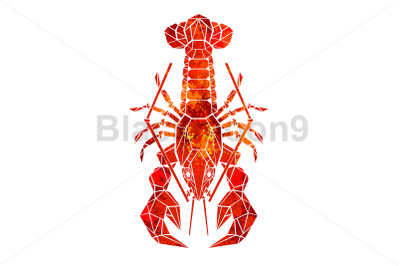 Red polygonal lobster