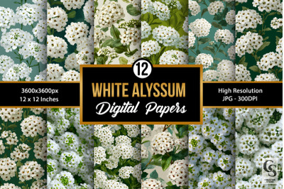 White Alyssum Flowers Digital Paper