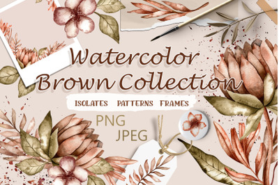 Watercolor Brown Collection