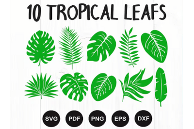 Tropical Leaves Svg Bundle, Tropical Leaf Svg