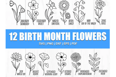 Birth Month Flowers Svg, Wildflower Svg