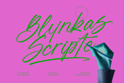 Blynkas Scripte - Aesthetic Handwritten Font