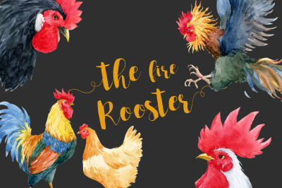 The Fire Rooster (VECTOR + PNG + PSD)