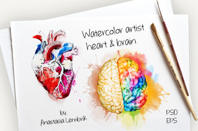 Watercolor artist heart&brain (VECTOR + PSD)