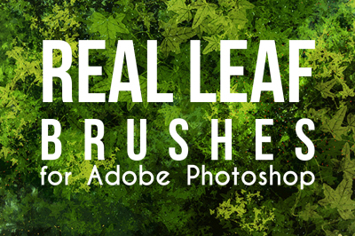 Real Leaf Photoshop Brushes