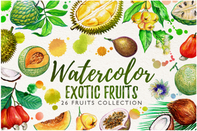 watercolor fruits vol. 6
