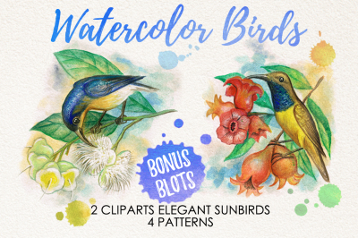 watercolor birds