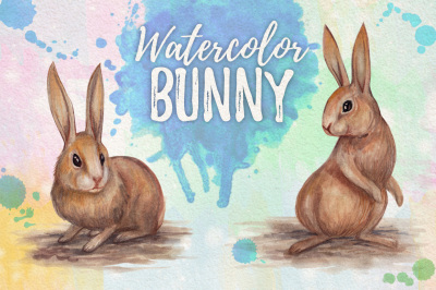 watercolor bunny