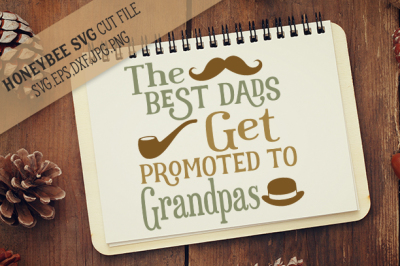 Best Dad's Get Promoted to Grandpas