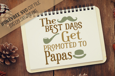 Best Dads Get Promoted to Papas