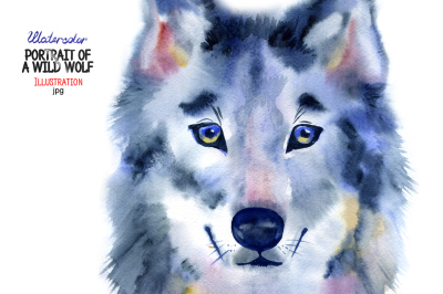 Watercolor wild wolf portrait