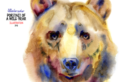 Watercolor wild bear portrait
