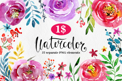 Watercolor Boho Flowers Leaves Branches Floral Clipart PNG