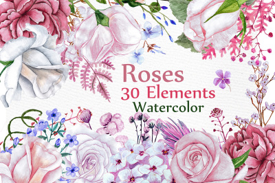 Watercolor Roses clipart
