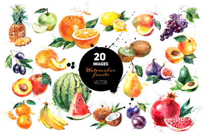 20 Watercolor Fruits Vector Set