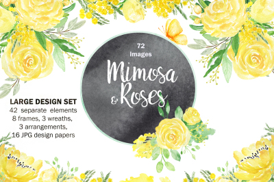 Mimosa & roses. Big design set