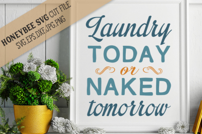 Laundry Today or Naked Tomorrow 