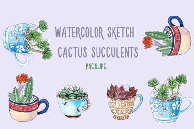 Watercolor sketch of a cactus