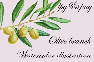 Olive branch watercolor illustration