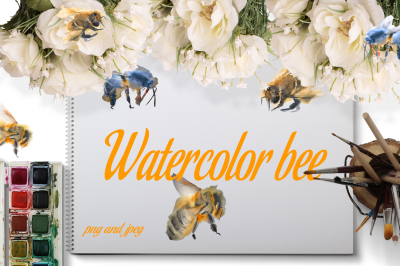 Watercolor bee