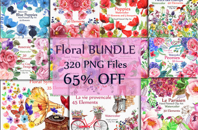 BUNDLE Watercolor floral elements