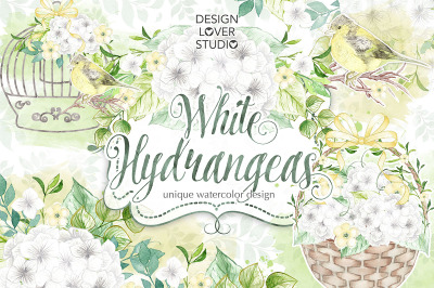 Watercolor White Hydrangea design