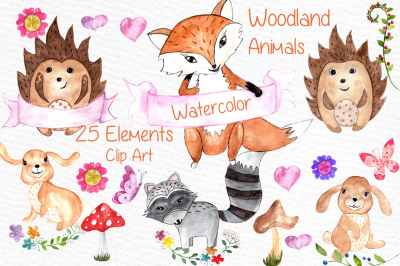 Watercolor woodland animals clipart