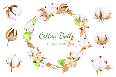 Watercolor Cotton Bolls