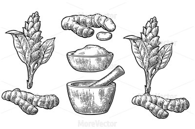 Turmeric root, powder and flower with pestle and mortar.