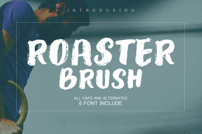 Roaster Brush Collection
