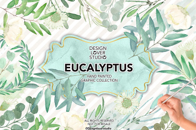 Watercolor Eucalyptus leaves