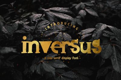Inversus – a slab serif display font