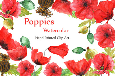 Watercolor flowers- Poppies clipart