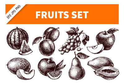Hand Drawn Sketch Fruits Vector Set