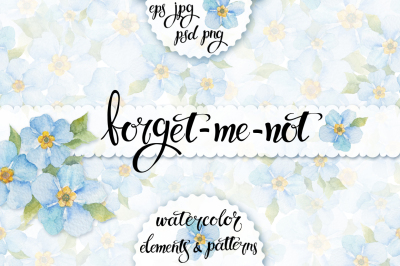 Forget-me-not. Watercolor set.