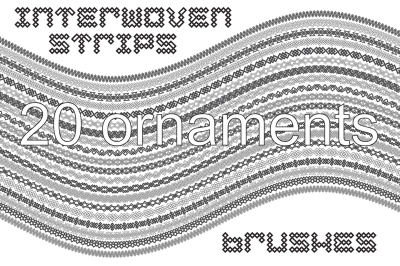 20 interwoven strips brushes