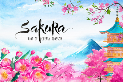   Sakura. Riot of Cherry blossom.