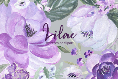 Lilac Soft purple watercolor clipart