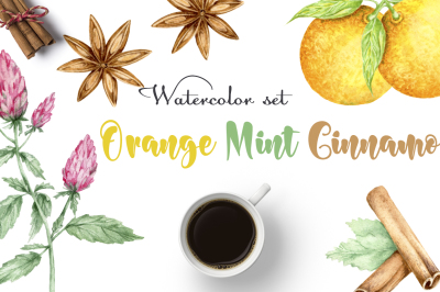 Orange Mint Cinnamon. Watercolor