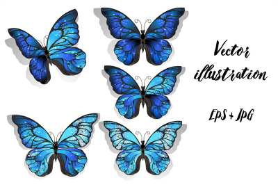 Set Blue Butterflies Morpho