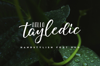 Hello Tayledic Handstylish Font Duo