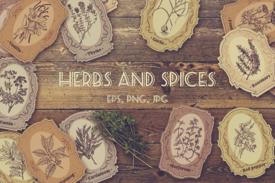 Herbs and spices. Vintage labels set