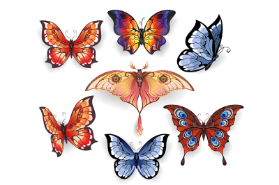 Set of Bright Exotic Butterflies