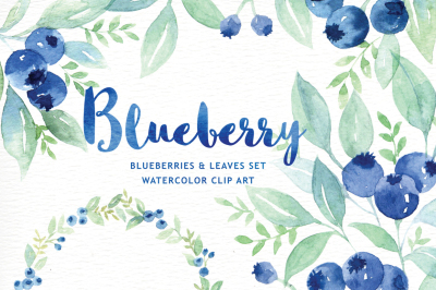 Blueberry watercolor clipart
