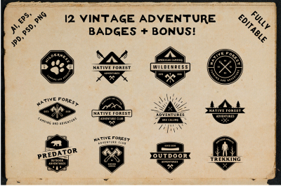 12 Adventure Badges